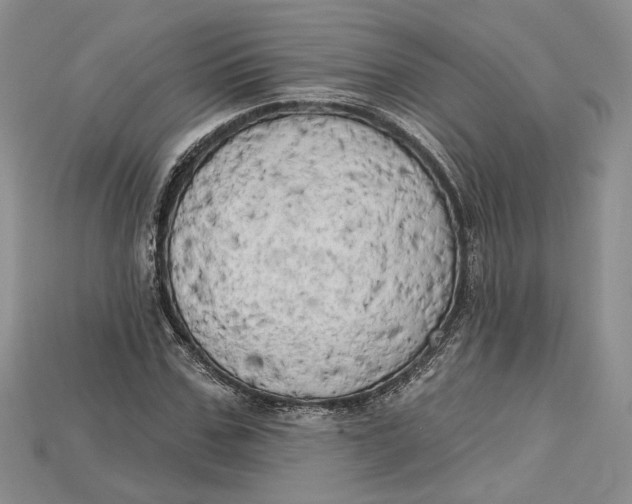 X0000114670971200911121329