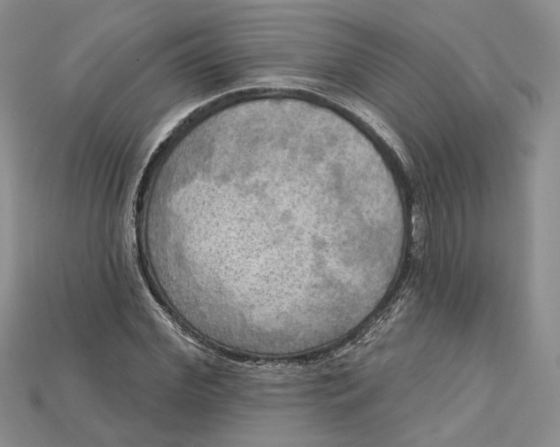 X0000114670972200911121329