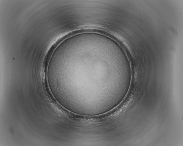 X0000114670973200911121329