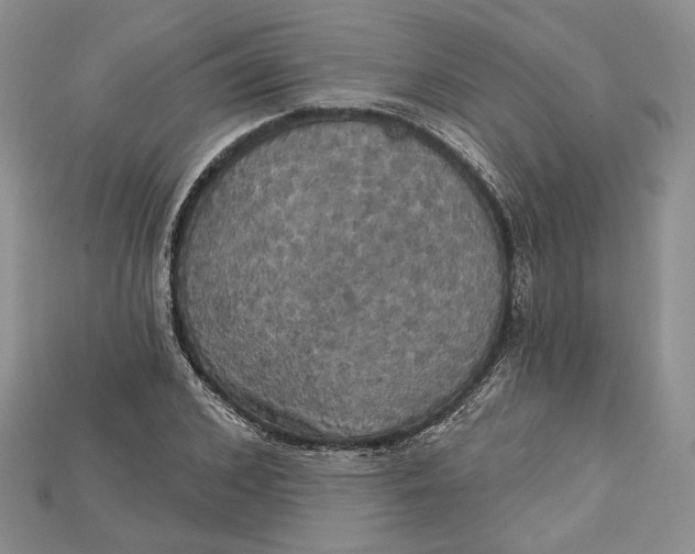 X0000114670976200911121329