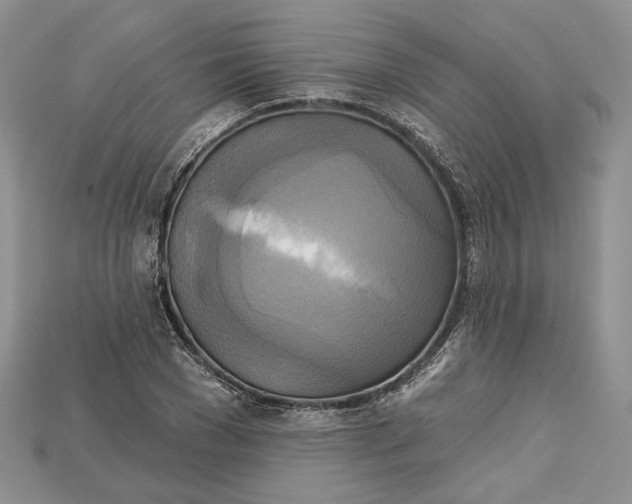 X0000114670977200911121329