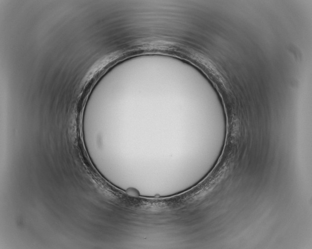 X0000114670978200911121329