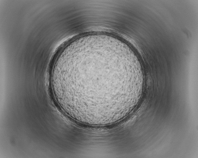 X0000114670979200911121329