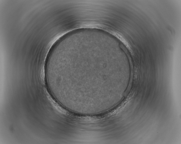 X0000114670980200911121329