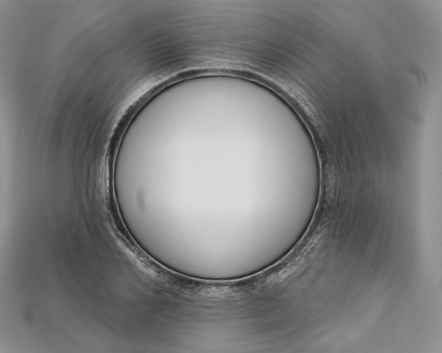 X0000114670982200911121329