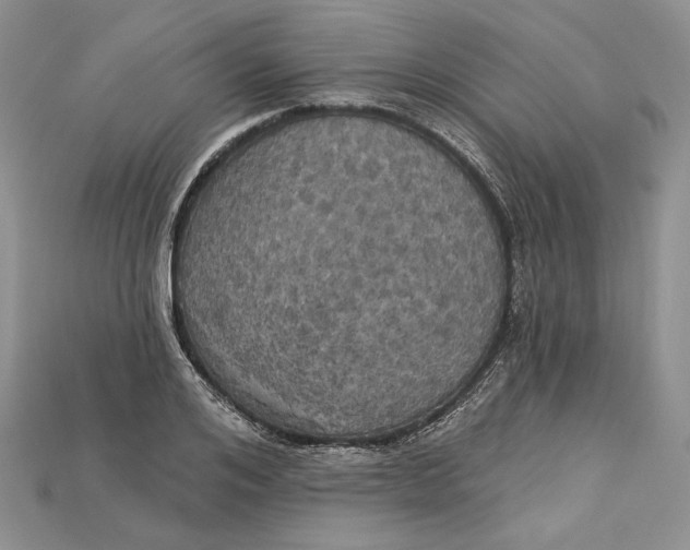 X0000114670984200911121329