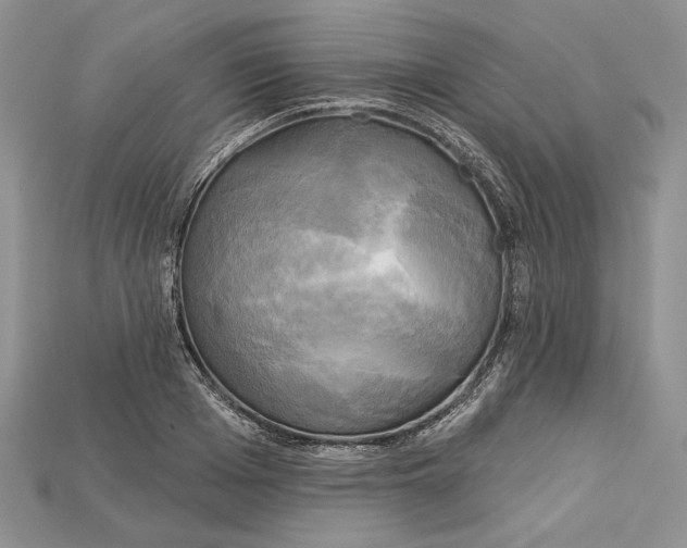 X0000114670985200911121329