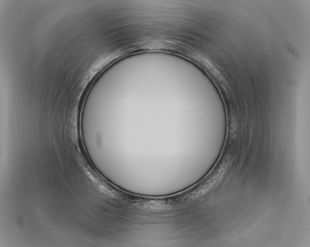 X0000114670986200911121329