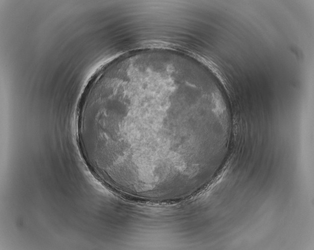 X0000114670987200911121329