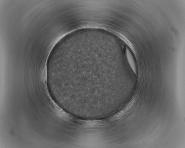 X0000114670988200911121329