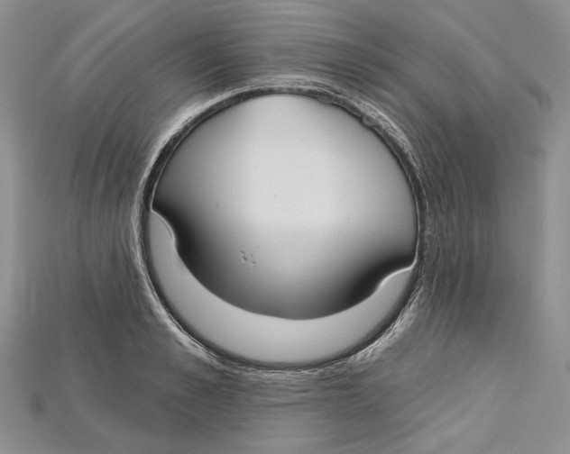 X0000114670989200911121329