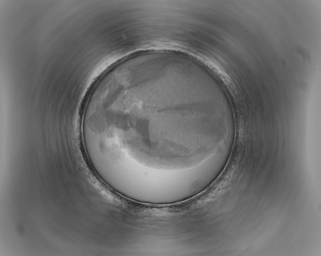 X0000114670990200911121329