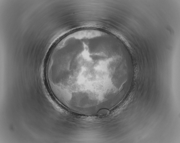 X0000114670991200911121329