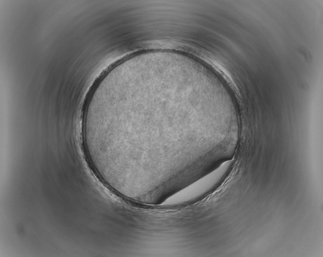 X0000114670992200911121329