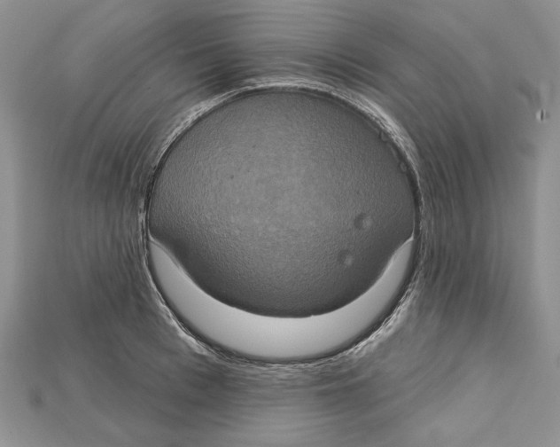 X0000114670993200911121329