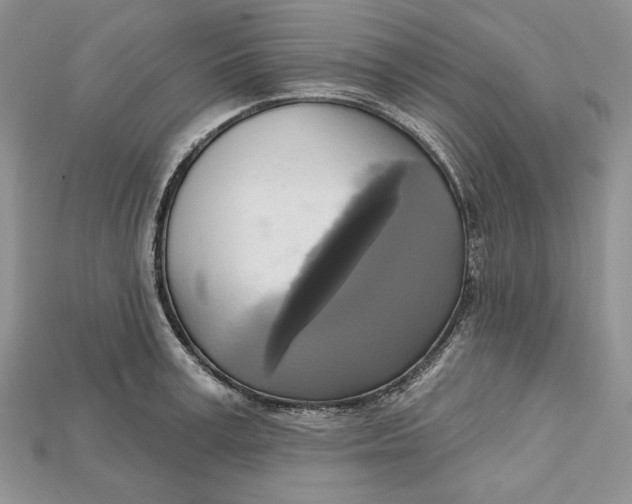 X0000114670995200911121329