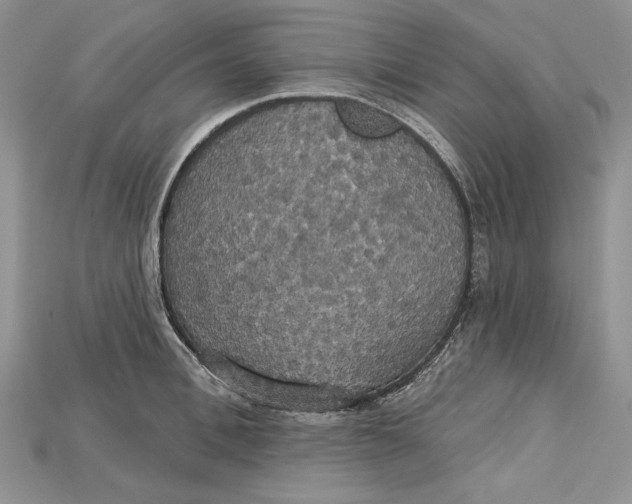 X0000114670996200911121329