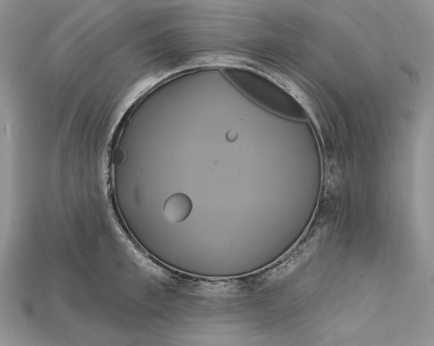 X0000114670997200911121329