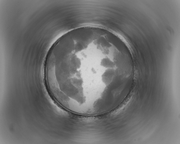 X0000114670999200911121329