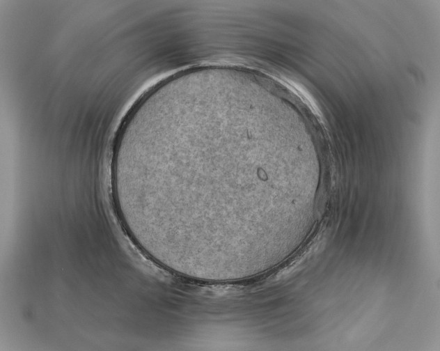 X0000114671000200911121329