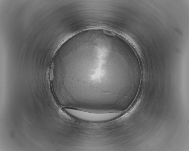 X0000114671001200911121329