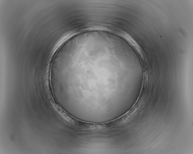 X0000114671002200911121329