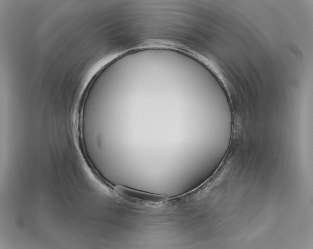 X0000114671003200911121329