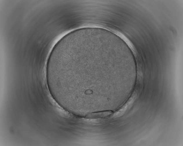 X0000114671004200911121329