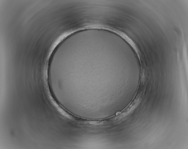 X0000114671005200911121329