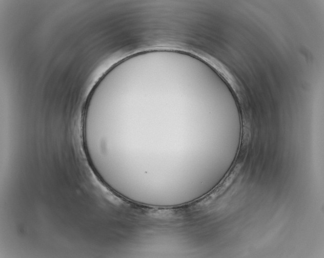 X0000114671006200911121329