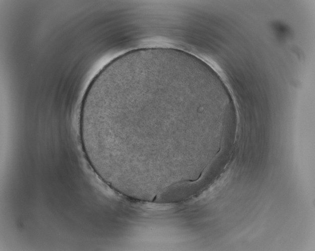 X0000114671008200911121329