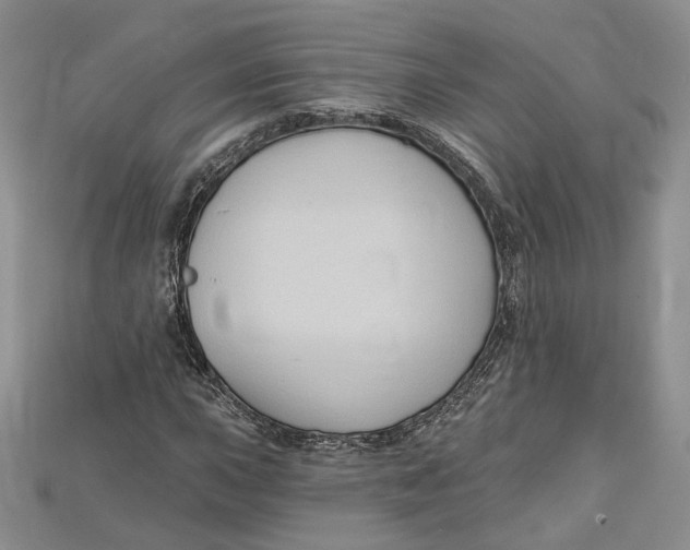 X0000114671015200911121328