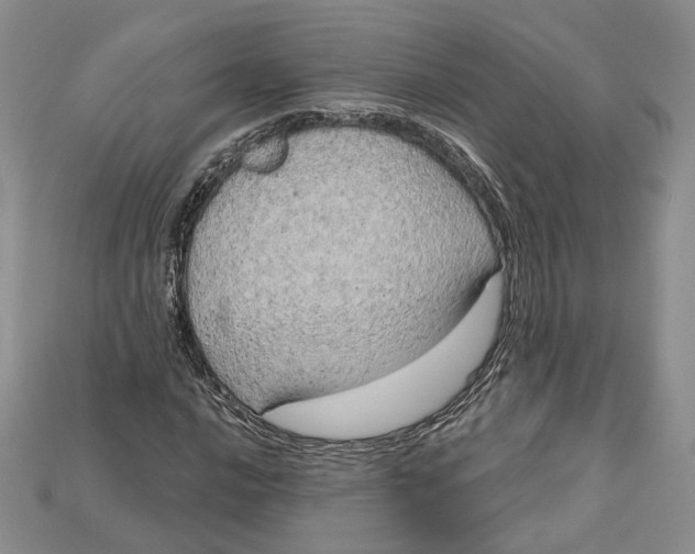 X0000114671016200911121328