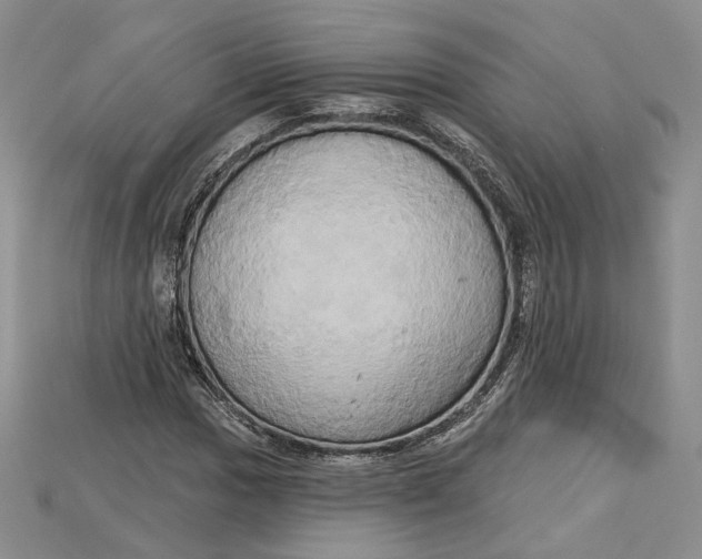 X0000114671017200911121328