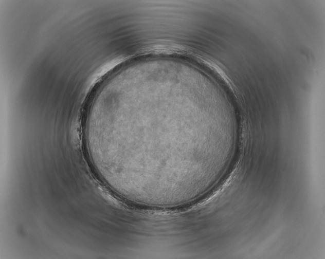 X0000114671018200911121328