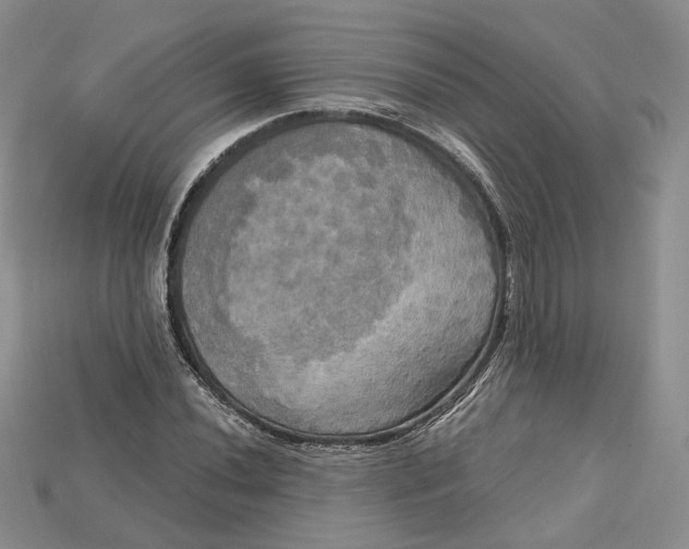 X0000114671020200911121328