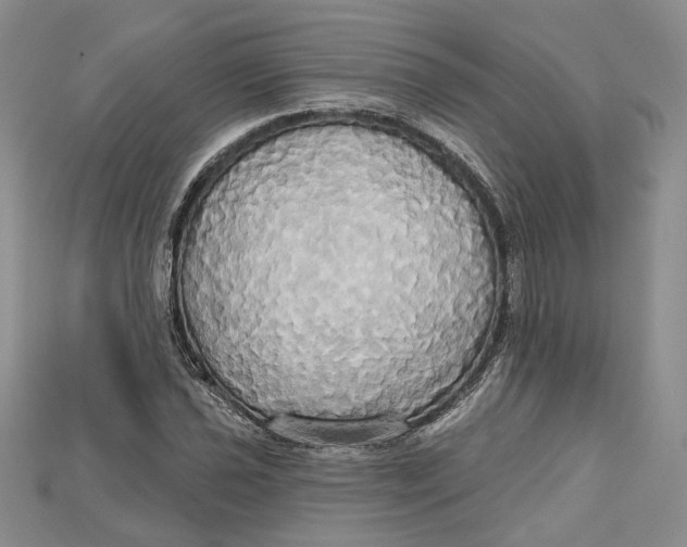 X0000114671021200911121328