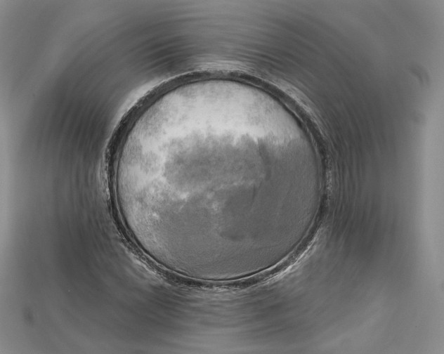 X0000114671022200911121328