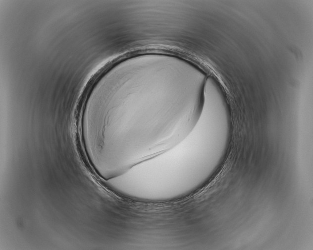 X0000114671024200911121328