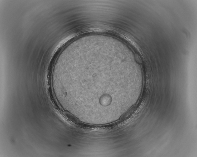 X0000114671026200911121329