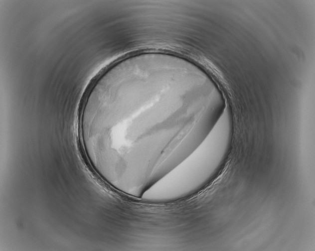 X0000114671028200911121329