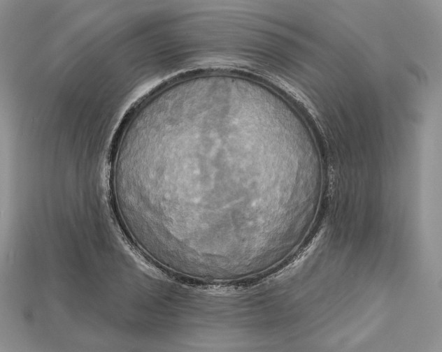 X0000114671029200911121329