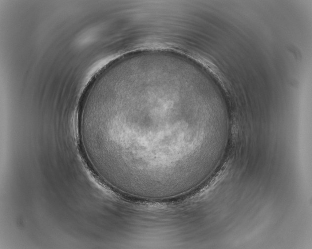 X0000114671030200911121329