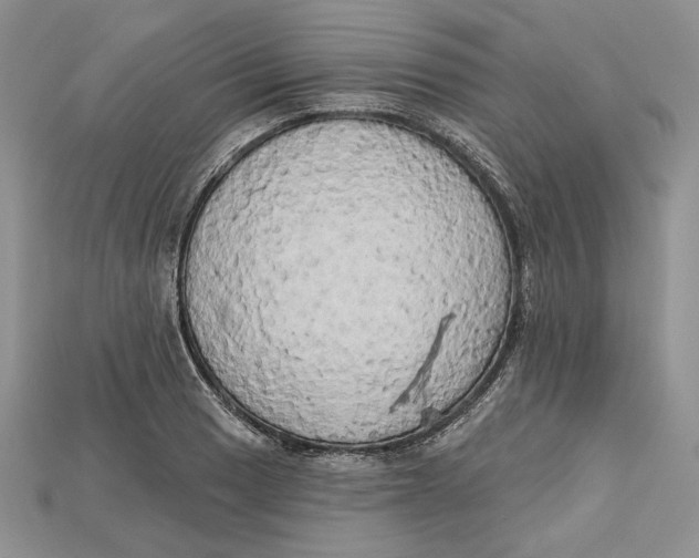 X0000114671033200911121329