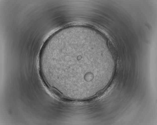 X0000114671034200911121329