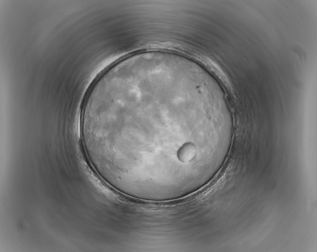 X0000114671036200911121329