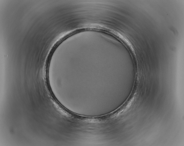 X0000114671037200911121329