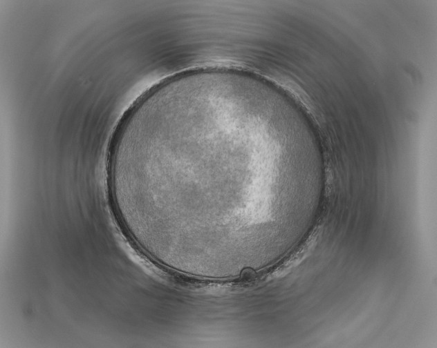 X0000114671038200911121329