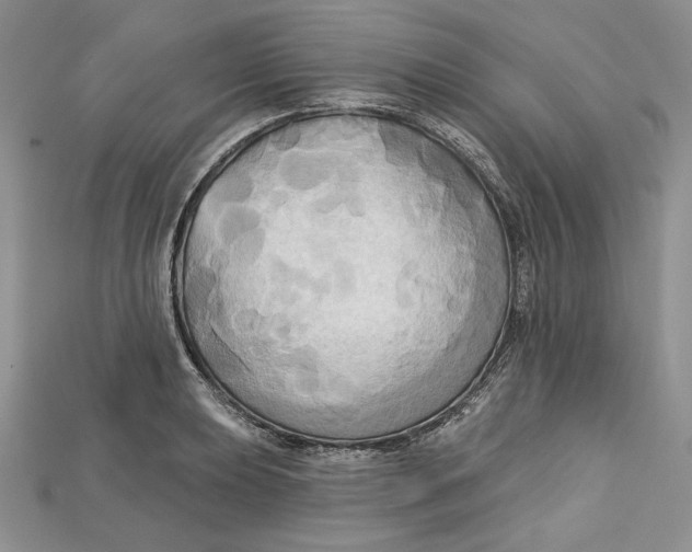 X0000114671039200911121329