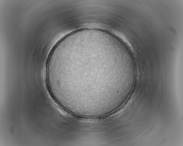 X0000114671040200911121329